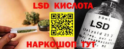 стафф Донской
