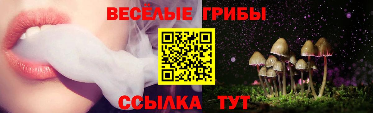 Галлюциногенные грибы Psilocybe  Вход с VPN  дарнет шоп  Комсомольск-на-Амуре 